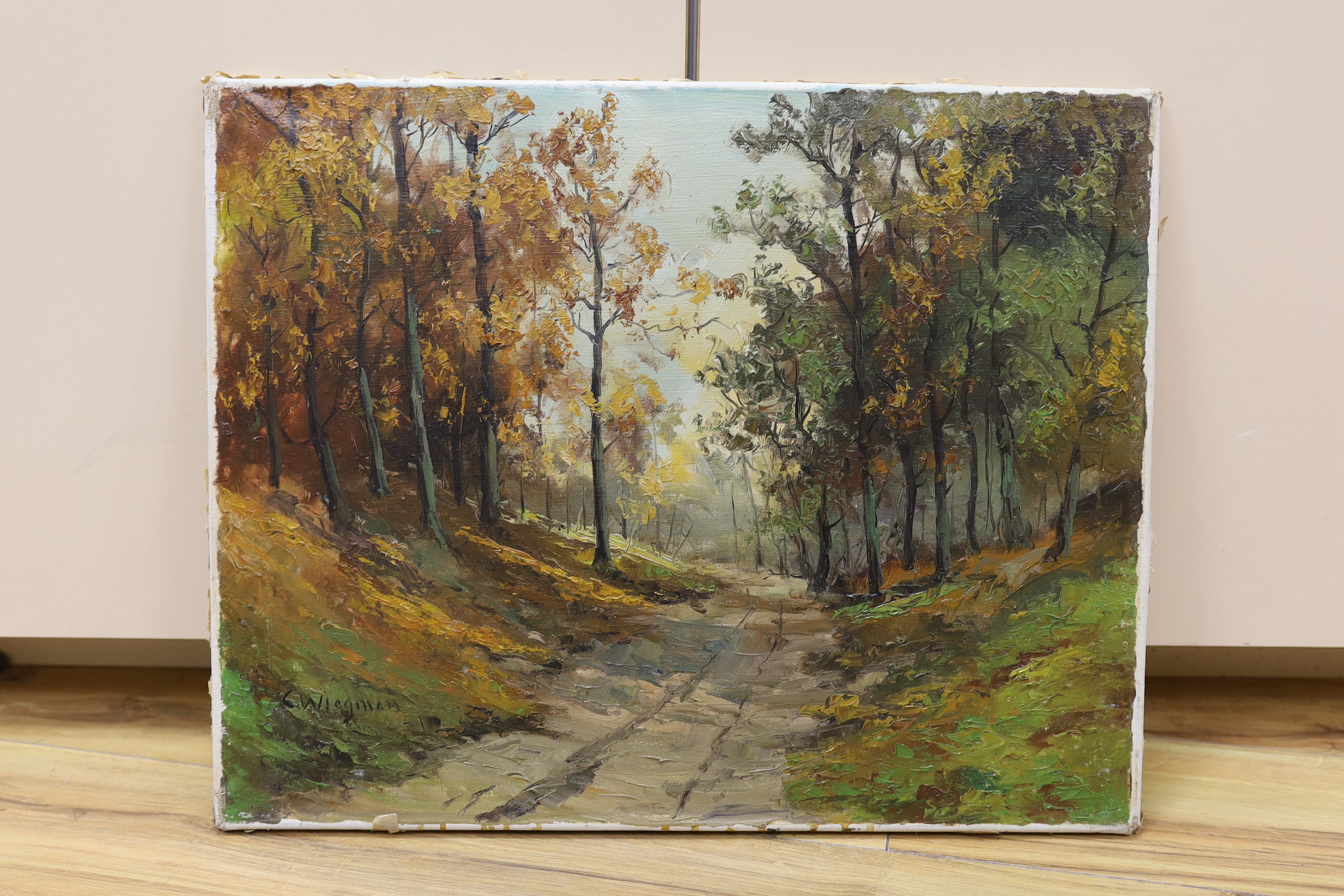 C. Wiegman (20th. C) oil on canvas, Woodland track, signed, 40 x 50cm, unframed